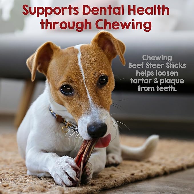 Riley's Steer Bully Sticks for Tiny to Small Dogs - Odor Free Single Ingredient Chew Treat - Easily Digestible, 100% Beef Pizzle Sticks for Dogs - 4-6", 10ct