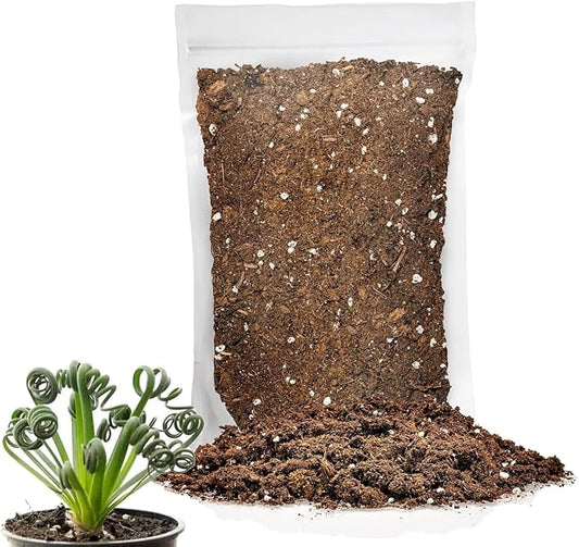 Gardenera Premium Albuca Spiralis Potting Soil Mix - Perfect Balance of Nutrients, Drainage, and Aeration for Thriving Blooms - 1 Quart