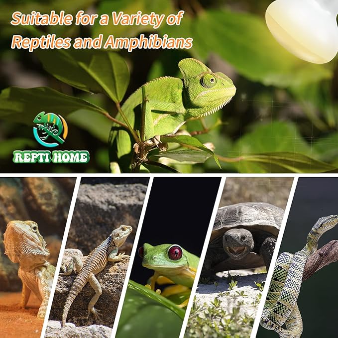 New Upgrade Reptile Heat Lamp Bulb (3rd Gen No Broken), 100W 2 Pack Basking Spot Light for Reptiles & Amphibians,UVA Daylight Heat Bulb for Bearded Dragon, Turtle