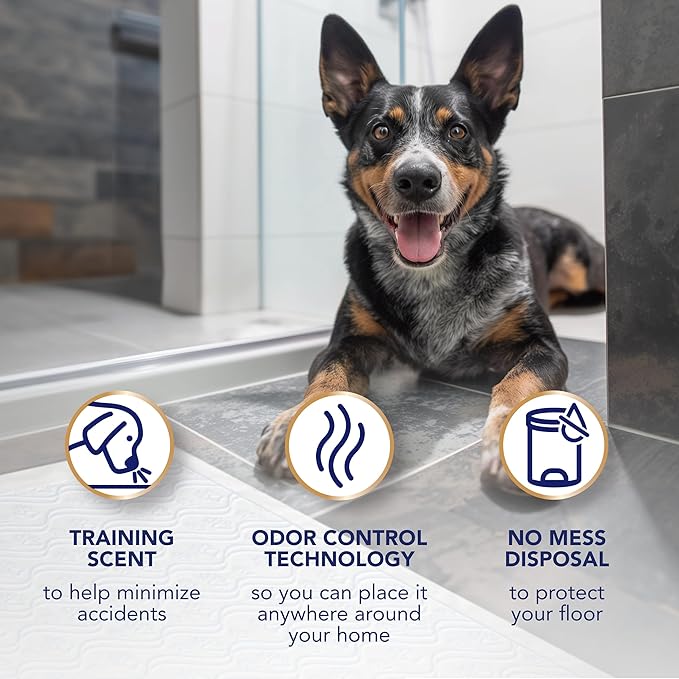 Scott Pet Guard Advanced Dog Pads - XL - 30" x 36" - 40 Pack of Pet Pads