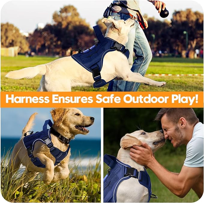 Heavy-Duty Tactical Dog Harness for Large Dogs, No Pull Adjustable Reflective Pet Vest with Molle System, K9 Military-Grade Control for Service Training, Outdoor & 10+ Breeds, Dazzling Blue, Small