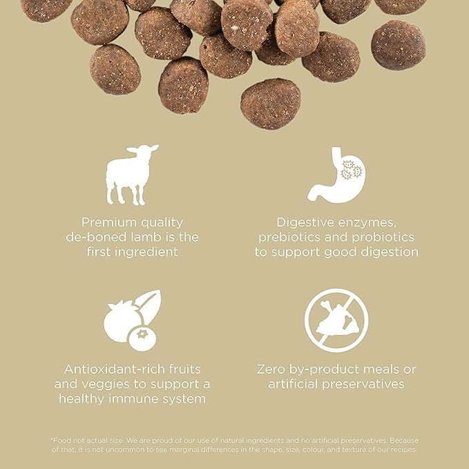 Go! Solutions Carnivore, Grain-Free, Protein Rich Dry Dog Food, Lamb and Wild Boar Recipe, 3.5 lb Bag
