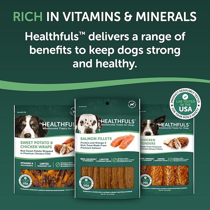 HEALTHFULS Salmon Fillet Dog Treats, 3.5oz (Pack of 2)