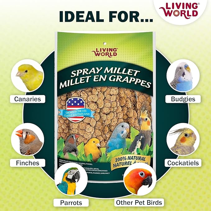 Living World - Millet Spray for Birds, 3.5 Oz – Premium Treat for Budgies, Canaries, Finches, Cockatiels and Other Pet Birds
