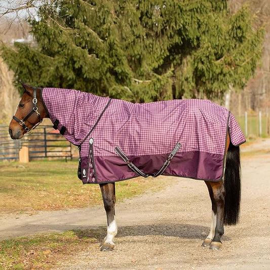 Equinavia Norse No Fill Horse Rain Blanket (0g) | Waterproof Lightweight Turnout Sheet - Black - 66 in - Plum Wine/Orchid Haze - 72 in