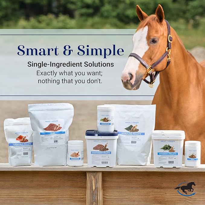 SmartEquine Smart & Simple Magnesium Horse Supplement | Supports Metabolism and Muscle Function | 515 Servings | 10 lb