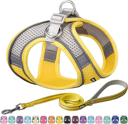 AIITLE No Pull Dog Harness and Leash Set, Step in Adjustable Pet Harnesses with Padded Vest for All Weather, Dog Leash with Soft Padded Handle, Easy to Put on Small and Medium Dogs Yellow S