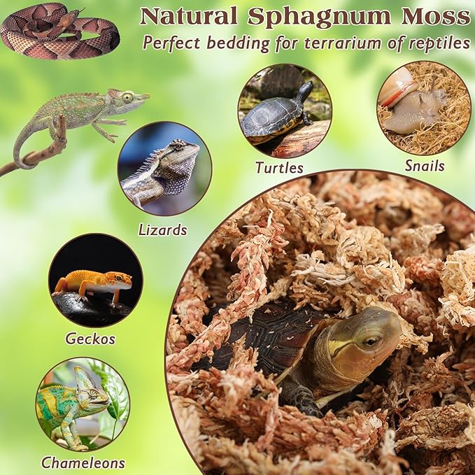 ZeeDix 6OZ Premium Sphagnum Moss for Reptiles, 8QT Dried Moss for Terrarium Long Fibered Leopard Gecko Moss Natural Sphagnum Peat Moss Bedding for Frogs Anoles Snake Turtle Plants