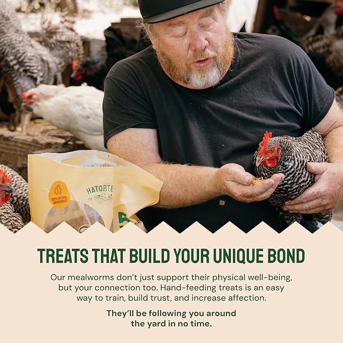 Hatortempt Chicken Feed Dried Mealworms - 5 Lb, Non-GMO & Organic - High-Protein Mealworms for Wild Birds & Ducks, Chicken Treats & Bird Food