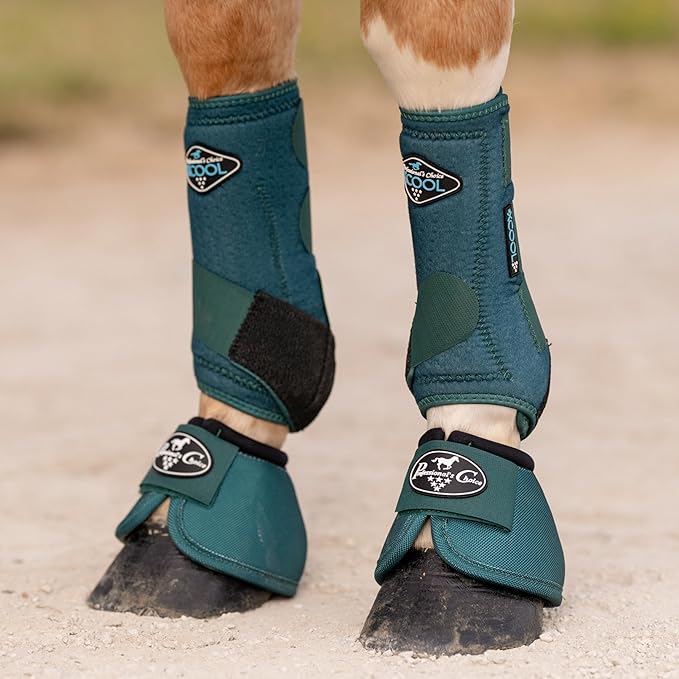 Professional's Choice 2XCOOL Sports Medicine Horse Boots | Protective & Breathable Design for Ultimate Comfort, Durability & Cooling in Active Horses | 2 Pack