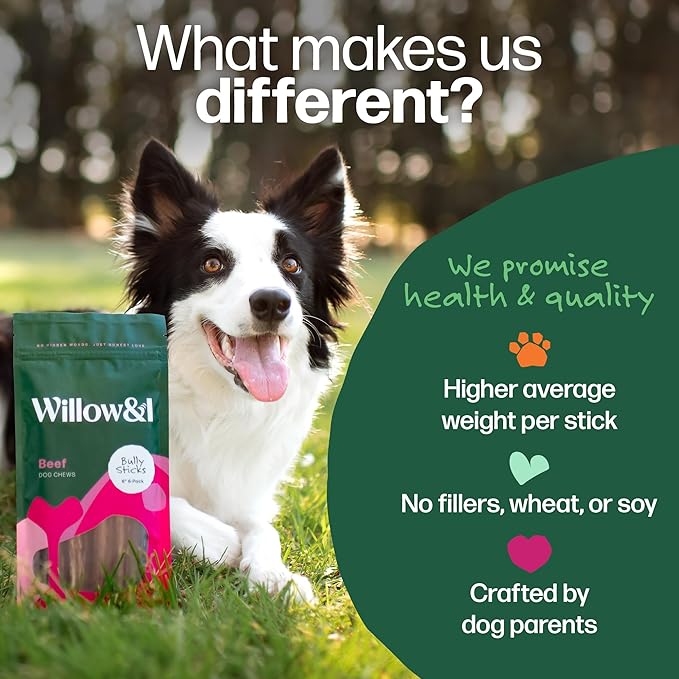 Willow&I Bully Sticks for Dogs -12 Inch Natural Bully Sticks for Medium, Large & Small Dogs- Premium 100% Grass Fed, Single Ingredient, Long Lasting, High Protein, Odor Free (12", 12 Pack)