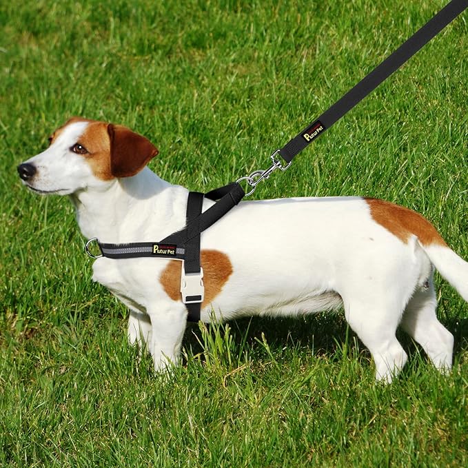 Plutus Pet Cotton Dog Harness and Leash Set, Reflective and Soft Padded, Quick Fit Vest Harness, for Small, Medium and Large Dogs, Black, XS