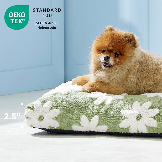 LE SURE Small Dog Beds-Thick Shredded Chopped Foam Pet Bed Indoor with Removable Cover, Cute Modern Fuzzy Plush & Anti Slip Bottom, Green