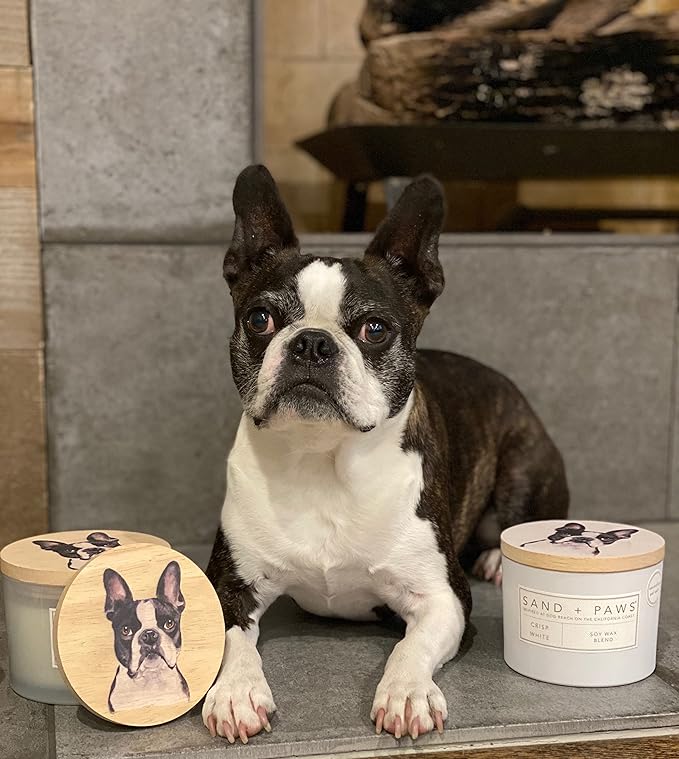 Sand + Paws Scented Candle - Ocean & Sea Salt - Additional Scents and Sizes –Luxurious Air Freshening Jar Candles Neutralize pet Odors and Enhance Home décor – 100% Cotton Lead-Free Wicks - 12 oz