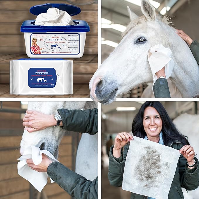 StripHair Horse Dog Grooming Set 2pc - Gentle Groomer 6-in-1 Shedding Massage Brush (original black) and Bamboo Coat Care Wipes (12x12in)