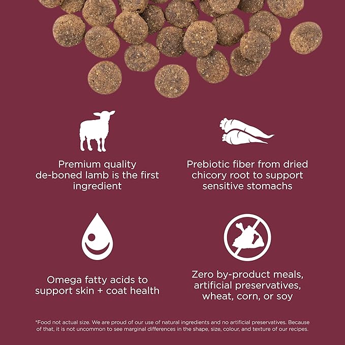 Go! Solutions Sensitivities Limited Ingredients, Grain-Free Dry Dog Food, Lamb Recipe for Sensitive Stomach, 3.5 lb Bag