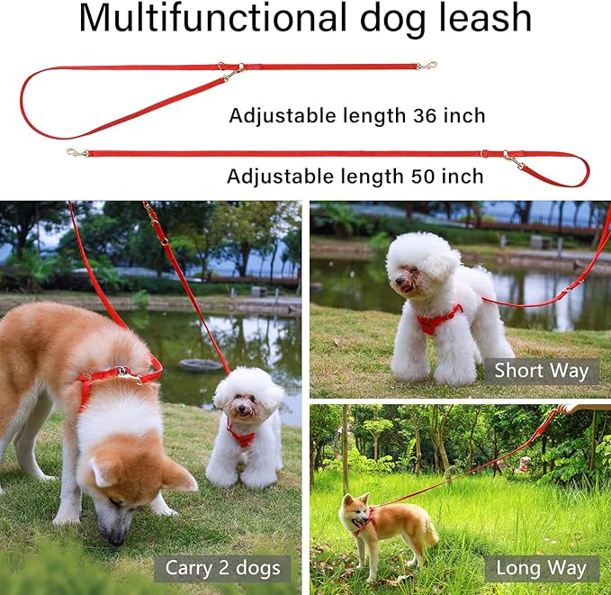 CHEDE No Pull Puppy Harness and Multifunction Dog Leash Set- 8 Colors Soft Adjustable No Choke Escape Proof Cute,Lightweight Pet Vest Harness for Small and Medium Dog (S, Red)