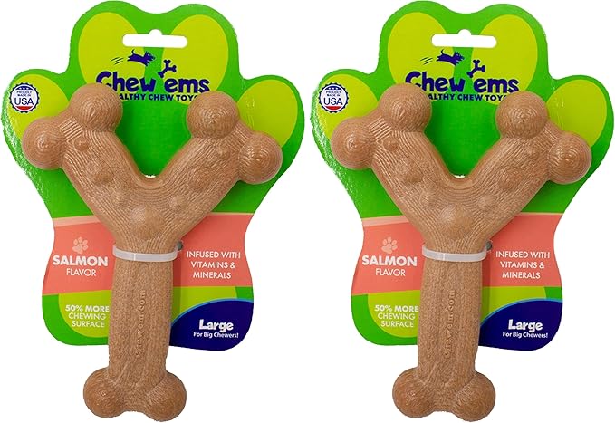 Chew'ems Durable Chewy Dog Toys | Long-Lasting & Flavorful Chew Dog Toys, Large Dog Breeds | Large Dogs, Salmon-Flavored (Pack of 2)