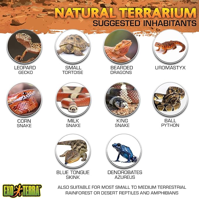 Exo Terra Glass Terrarium Kit, for Reptiles and Amphibians, Nano, 8 x 8 x 8 inches, PT2599A1