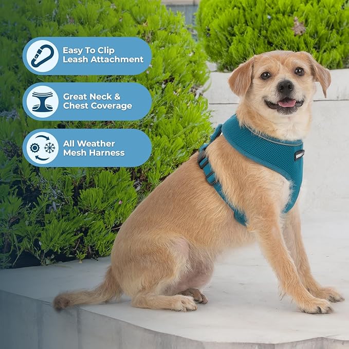 Best Pet Supplies Voyager Mesh Dog Breathable Harness Reflective Stitching, All Weather Adjustable for Walking Training, or Running - Heavy Duty & Durable, 220 Style (Turquoise), S
