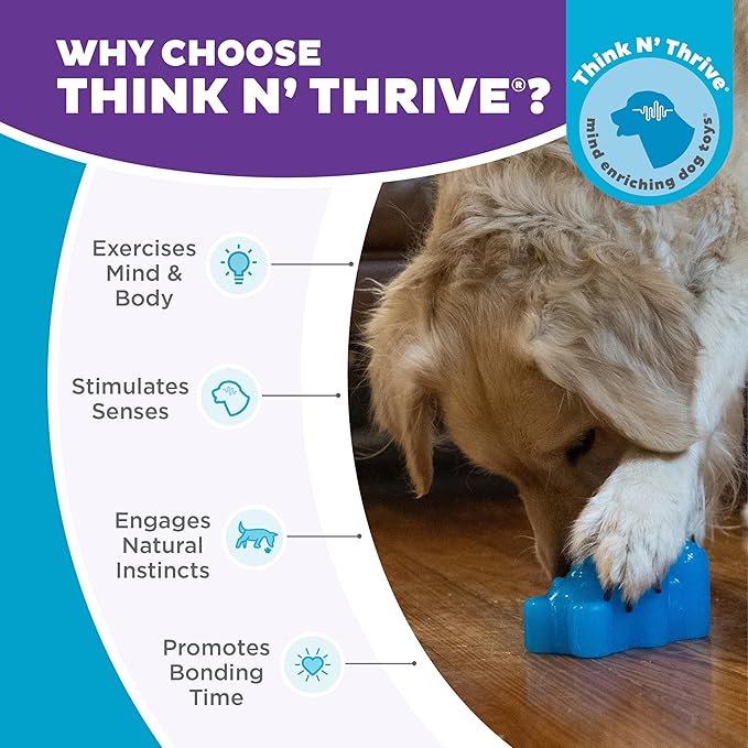 Outward Hound Gummiez Bear 2-in-1 Dental Dog Chew Toy and Dog Treat Stuffer Game, Blue Raspberry Scent, Blue