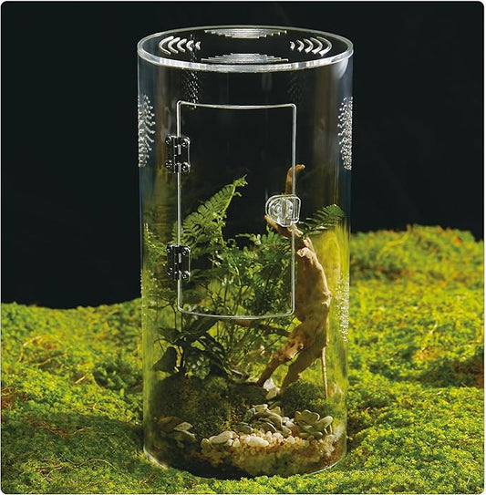 Acrylic Terrarium for Reptiles & Spiders – Small/Medium/Large Leak-Proof Enclosure (Horizontal/Vertical) | Ideal for Tarantulas, Jumping Spiders, Frogs & Geckos(Large Round)