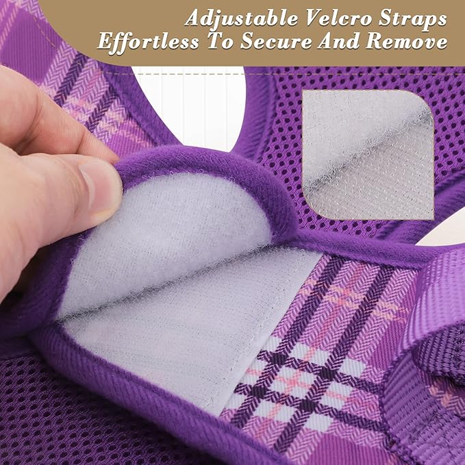 Athena Collection Step-in Dog Harness with 5 ft Leash, Medium Dog Harness Leash Set Large No Pull Dog Vest Harness with Reflective Strips Adjustable Velcro, Easy Walk Dog Harness, Purple