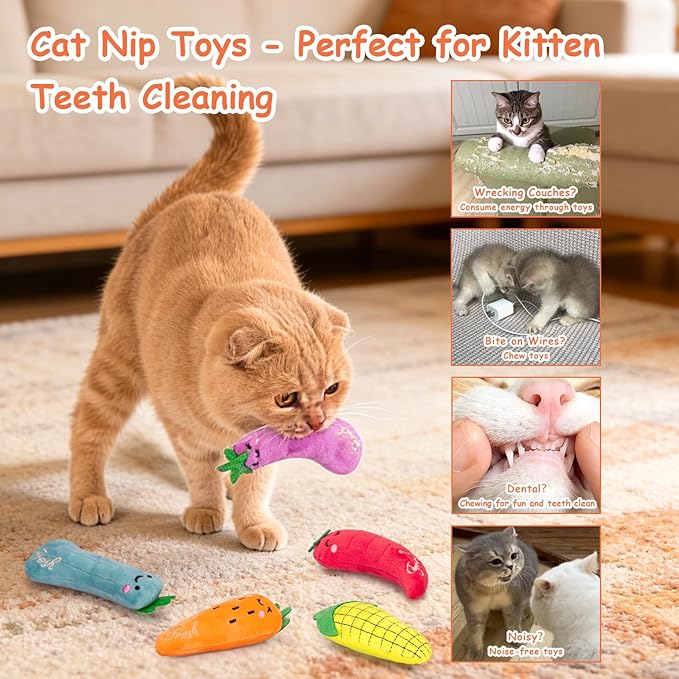 Catnip Cat Toys, Safe Teeth Cleaning Cat Nip Toys for Indoor Kitten Kitty,Interactive Plush Cat Chew Kicker Toys, 5 Pack, Vegetable Shape