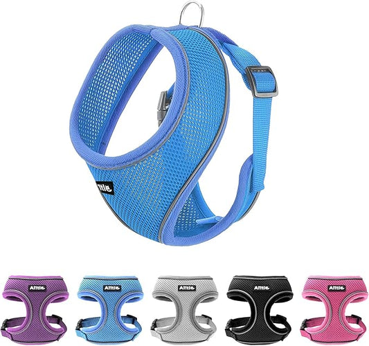 AIITLE Breathable Dog Harness for Small Dogs, Comfortable Adjustable Mesh Vest with Quick-Release Buckle, Reflective Safety Strips – Perfect for Poodles, Teddy Dogs (M, Blue)