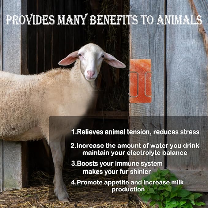 kathson Himalayan Salt Block for Horses,Pack of 2 (8 x 4 x1 Inche) Natural Mineral Salt Block with Vital Minerals Animal Licking Salt Brick for Deer Cattle Sheep and Other Livestock