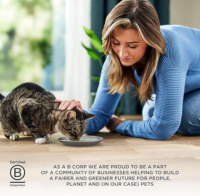 Reveal Entrées Natural Wet Cat Food Paté, Grain-Free with Added Vitamins & Minerals, Carrageenan-Free Protein, Chicken Breast Paté Recipe (24 x 2.47 oz Cans)