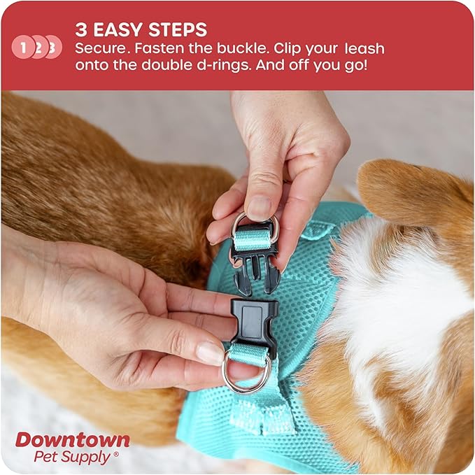 Downtown Pet Supply Step-in Dog Harness – No Pull, Adjustable Padded Mesh with Reflective Trim, Secure Buckle Strap – Comfortable & Breathable Small Dog Harness, Medium, Light Blue