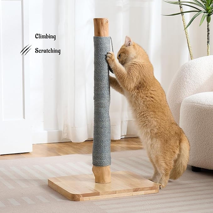 29" Tall Cat Scratching Post with Sisal Scratcher, Extra-Stable & Natural Solid Rubber Wood Base, Hanging Ball Toy for Indoor Cats Adults & Kittens, Gray