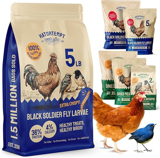 Hatortempt Black Soldier Fly Larvae for Chickens - 5 lb Pack of 1 - Protein Boost & High Protein Chicken Feed - 4% Calcium Treats & Reptile Calcium - Non-GMO Organic Grubs & Bird Feed