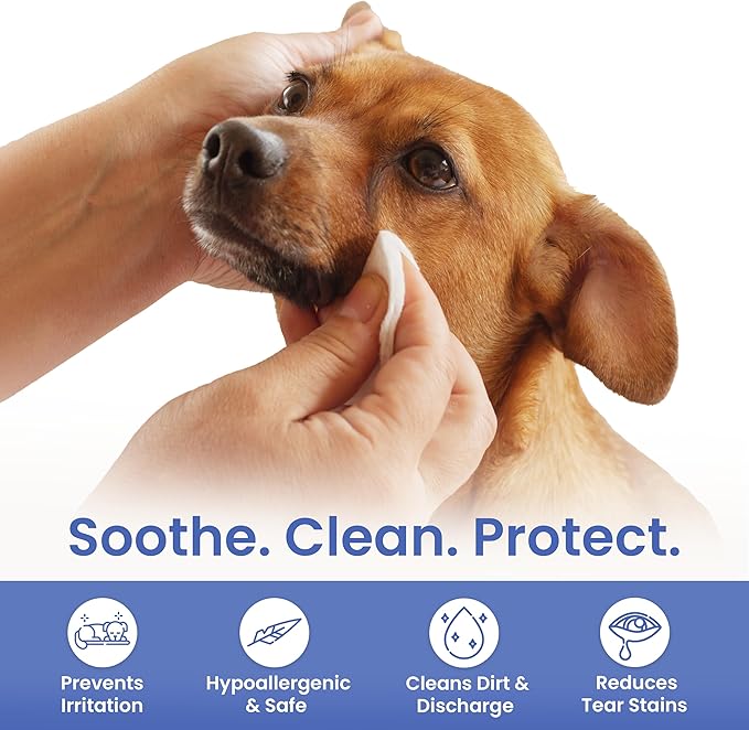 AKC Pet Eye Wipes for Dogs & Cats – Tear Stain Remover & Eye Discharge Cleaner – Hypoallergenic Grooming Wipes, 100 Count (Oatmeal Scent)