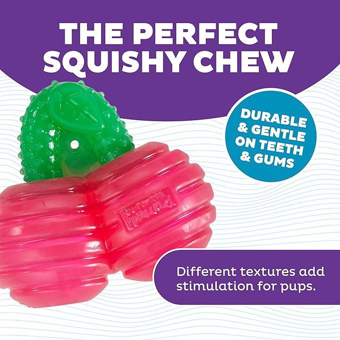 Outward Hound Gummiez Cherries 2-in-1 Dental Dog Chew Toy and Dog Treat Stuffer Game, Cherry Scent, Red