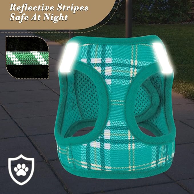 Athena Collection Small Dog Harness with 5 ft Leash, Step-in Dog Harness Leash Set Extra Small No Pull Dog Vest Harness with Reflective Strips Adjustable Velcro, Easy Walk Puppy Harness, Green
