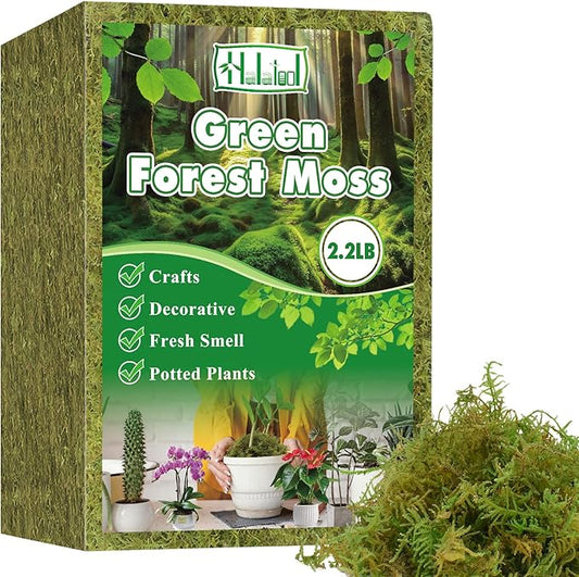 Halatool 2.2LBS Forest Green Moss for Indoor Potted Plants, Orchid Potting Mix, Indoor Potting Plant Moss for Repotting Terrariums Garden Reptiles