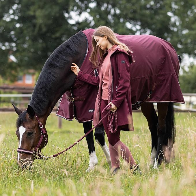 HORZE Glasgow Lightweight Waterproof Horse Turnout Blanket (100g Fill) - Burgundy - 69 in