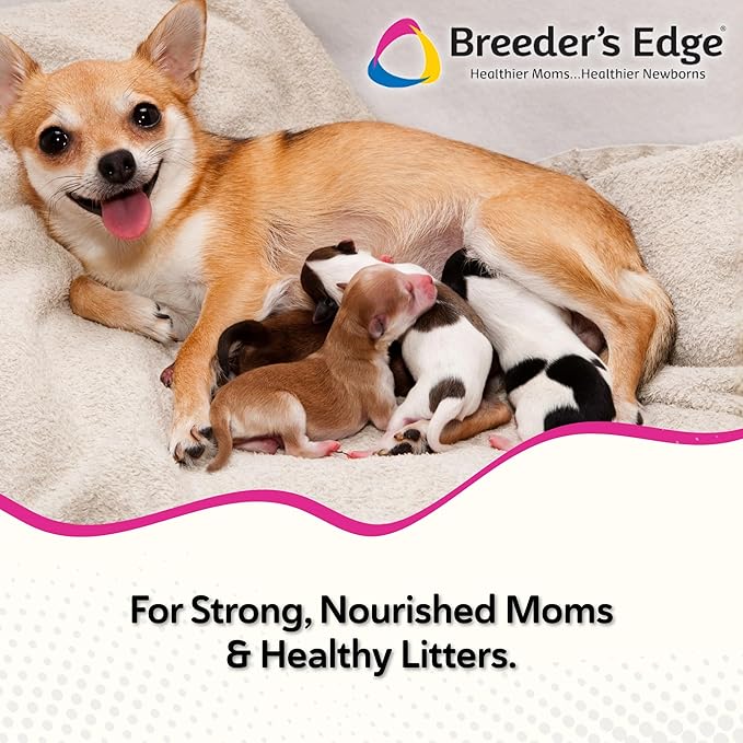 Breeder's Edge Oxy Momma Soft Chews, Postnatal Vitamin Supplement for Lactating Dogs and Cats, Supports Recovery, Hormones, and Next Pregnancy - for Small Dogs & Cats, 40ct Soft Chews