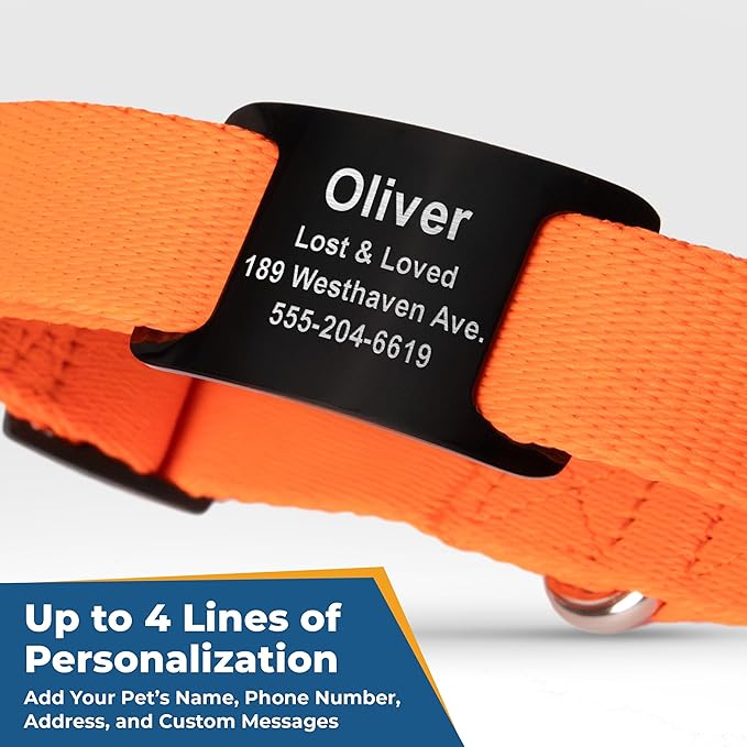 GoTags Reflective Personalized Dog Collar with Nameplate, Adjustable Dog Collar with Custom Engraved Steel Slide On Pet ID Tag, Silent, No Noise Dog Tag for Large Medium or Small (Orange, Small)