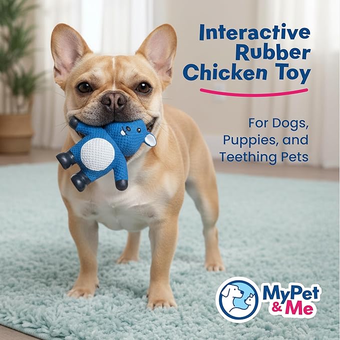 My Pet & Me - Squeaky Dog Toys for Light to Moderate Chewers - Fun Latex Toys for Puppies, Teething, and Gentle Play - Interactive Fetch and Chew Toy with Squeaker (Blue Mouse, 4.3 Inch)
