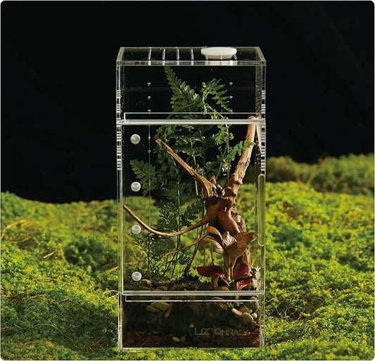 Acrylic Terrarium for Reptiles & Spiders – Small/Medium/Large Leak-Proof Enclosure (Horizontal/Vertical) | Ideal for Tarantulas, Jumping Spiders, Frogs & Geckos(Small Vertical)