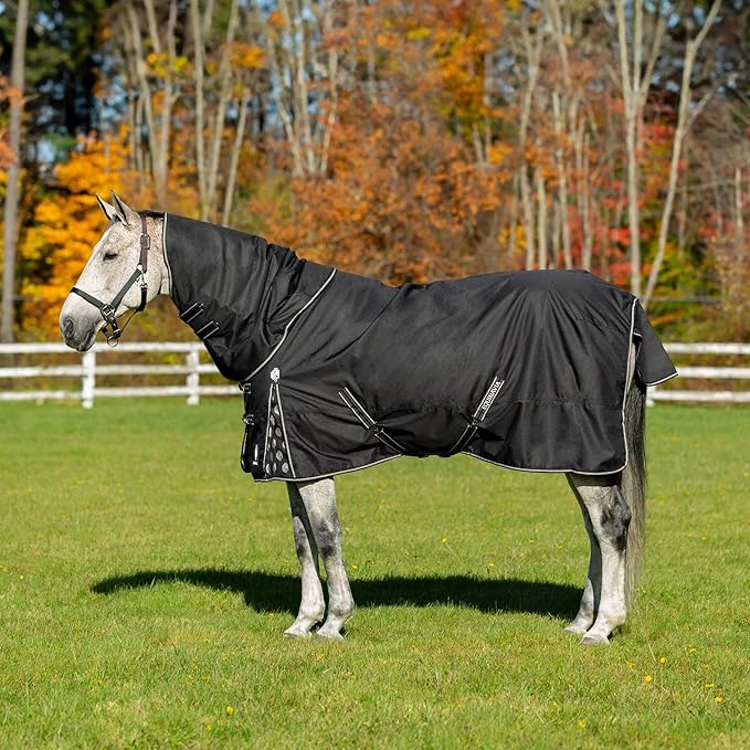 Equinavia Norse No Fill Horse Rain Blanket (0g) | Waterproof Lightweight Turnout Sheet - Black - 66 in - Black - 84 in