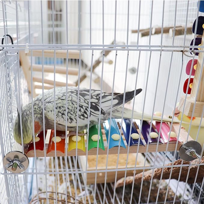 Dnoifne Colorful Bird Xylophone Toy, Funny Xylophone Toy with 8 Metal Keys, Cage Accessories for Chicken Chick Birds Parrots Parakeets Cockatiels Budgies Love Birds