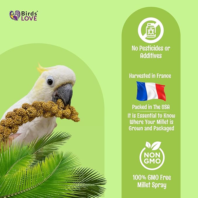 Birds LOVE French Kissed Spray Millet for Birds - Parakeets, Cockatiels, Lovebirds, Finches, Budgies, Canaries, Cockatoos - Natural & Healthy Bird Millet - Parakeet Food & Treats for All Parrots 2lbs
