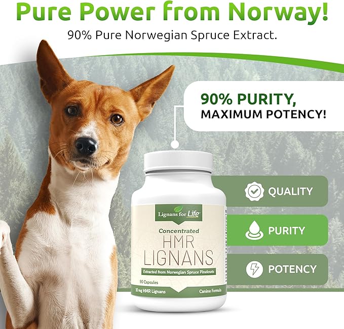 Lignans For Life HMR LIGNANS 10mg Capsules - Perfect for Small Dog Breeds - Vitamin for Healthy Pet | Multivitamin | Wellness Supplement | Nutritional