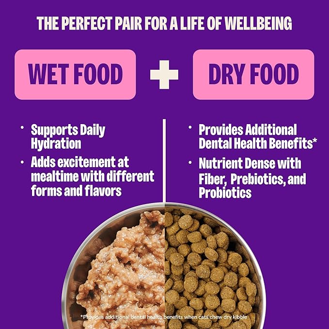 Wellness Complete Health Cubed Adult Wet Cat Food, Natural, Protein-Rich, Grain Free, 5.5 Ounce, 24 Pack, (Chicken Entrée)