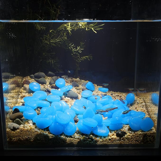 Oubest Fish Tank Rocks Glow Blue/Glow in The Dark Pebbles for Garden/Fish Tank/Aquarium/Plant Pots/Bonsai Walkway/Driveway 200pcs