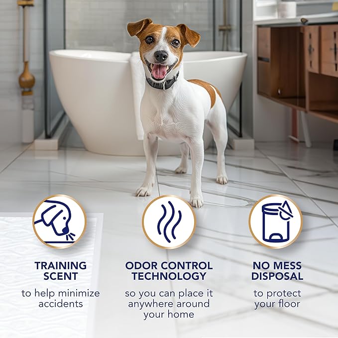 Scott Pet Guard Advanced Dog Pads - Large - 22" x 22" - 100 Pack of Pet Pads